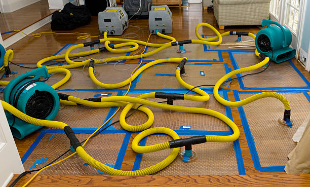 Professional Structural Drying And Dehumidification technician working in Westhampton Beach, NY